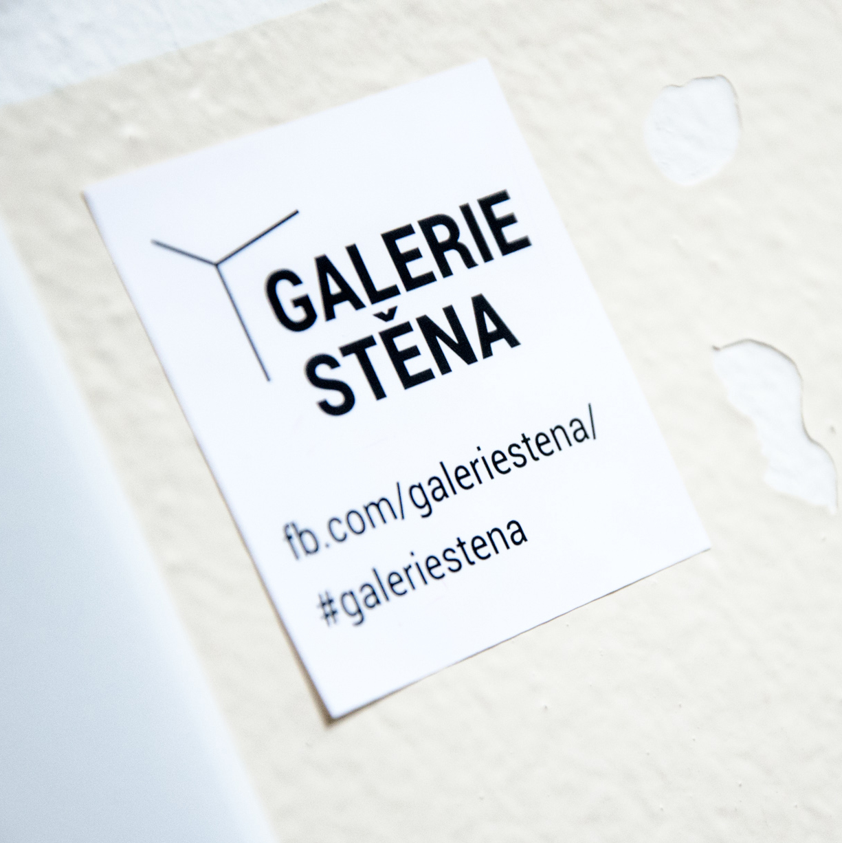 Pavla Zemanová / Galerie STĚNA // Vítěz JFK#20